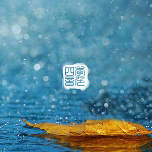 欧美成人午夜无码A片秀色直播
